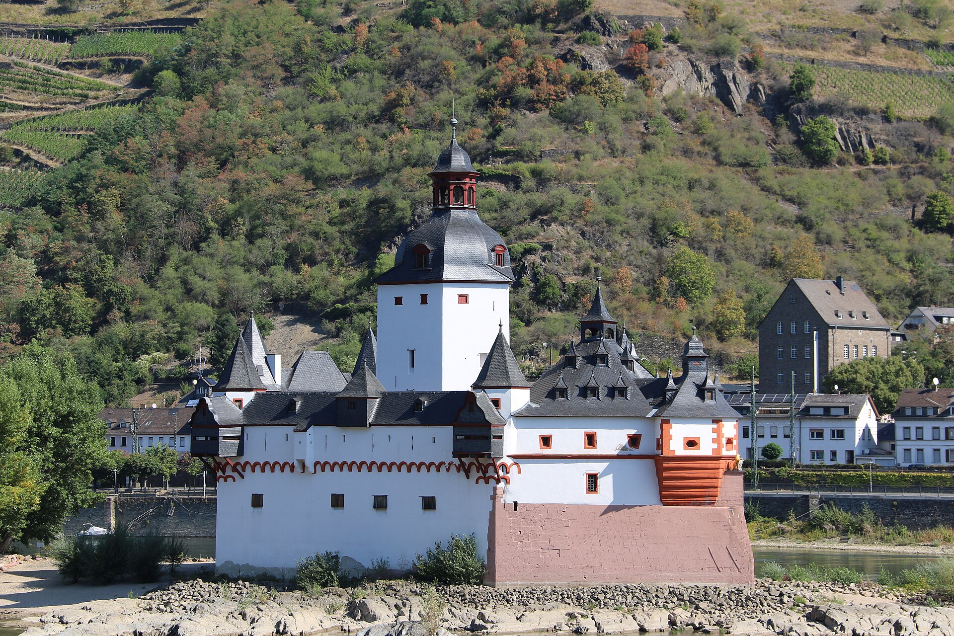 The Rhine and a castle in the Middle Rhine valley